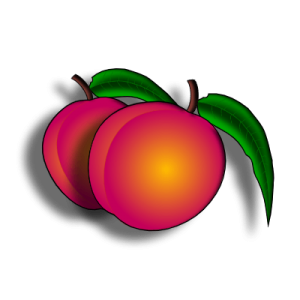 When is mango season? 🥭 - WhenIsTheSeason.com