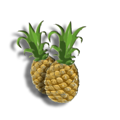 pineapple season