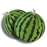 This Little Known Truth About Watermelon Season Will Change Everything!