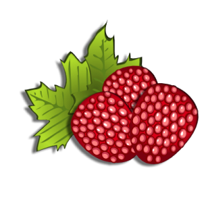 Raspberry season