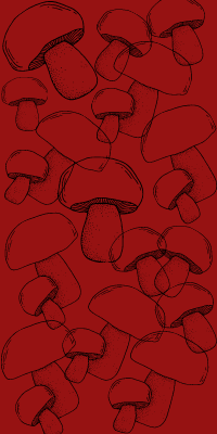 Mushrooms