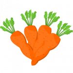 Carrot season