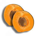 Apricot season